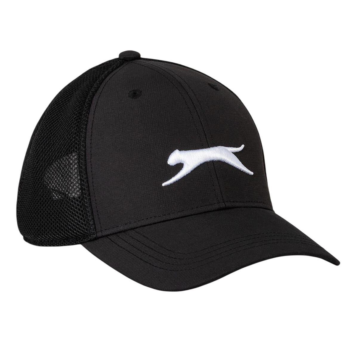 SLAZENGER picture