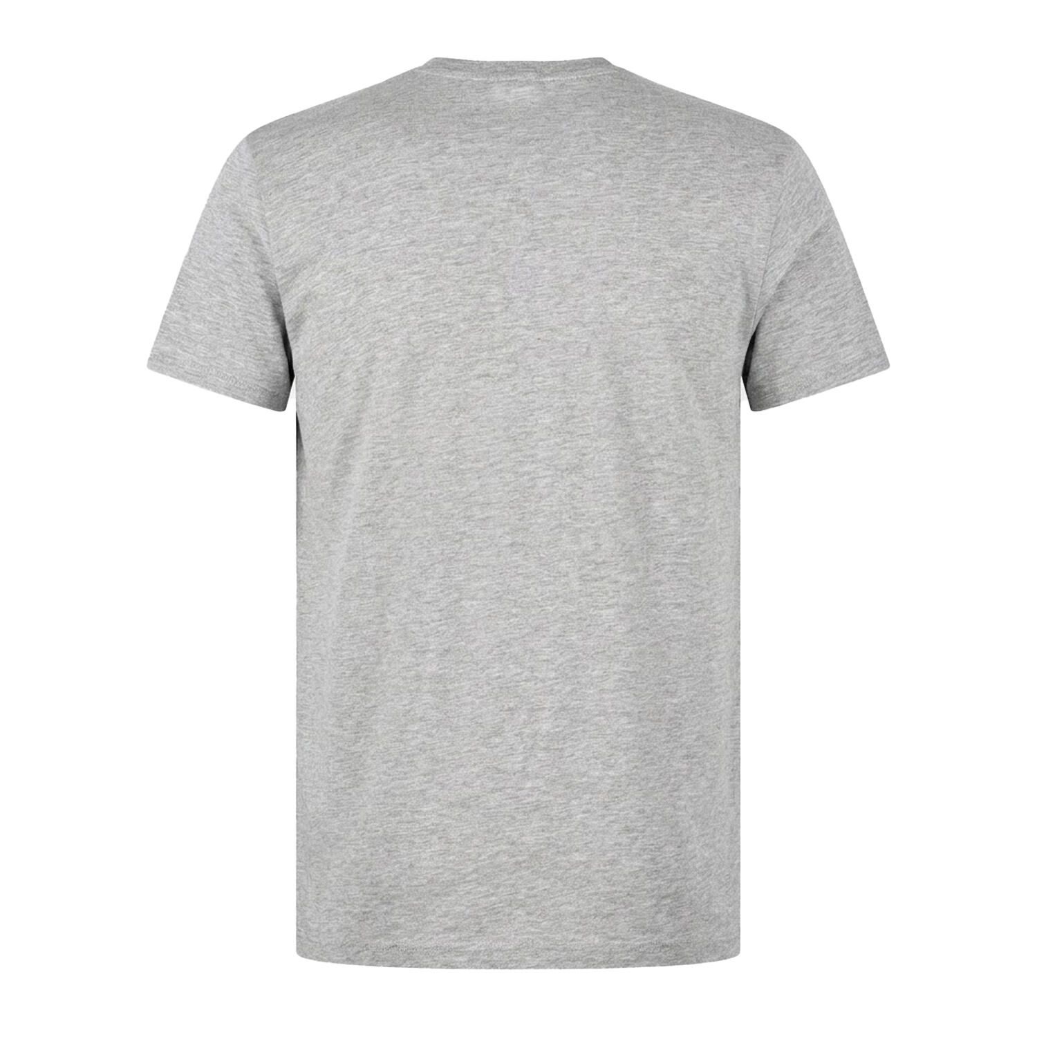 "Pima" TShirt für , VAusschnitt, Leicht Herren Silbergrau 2/2