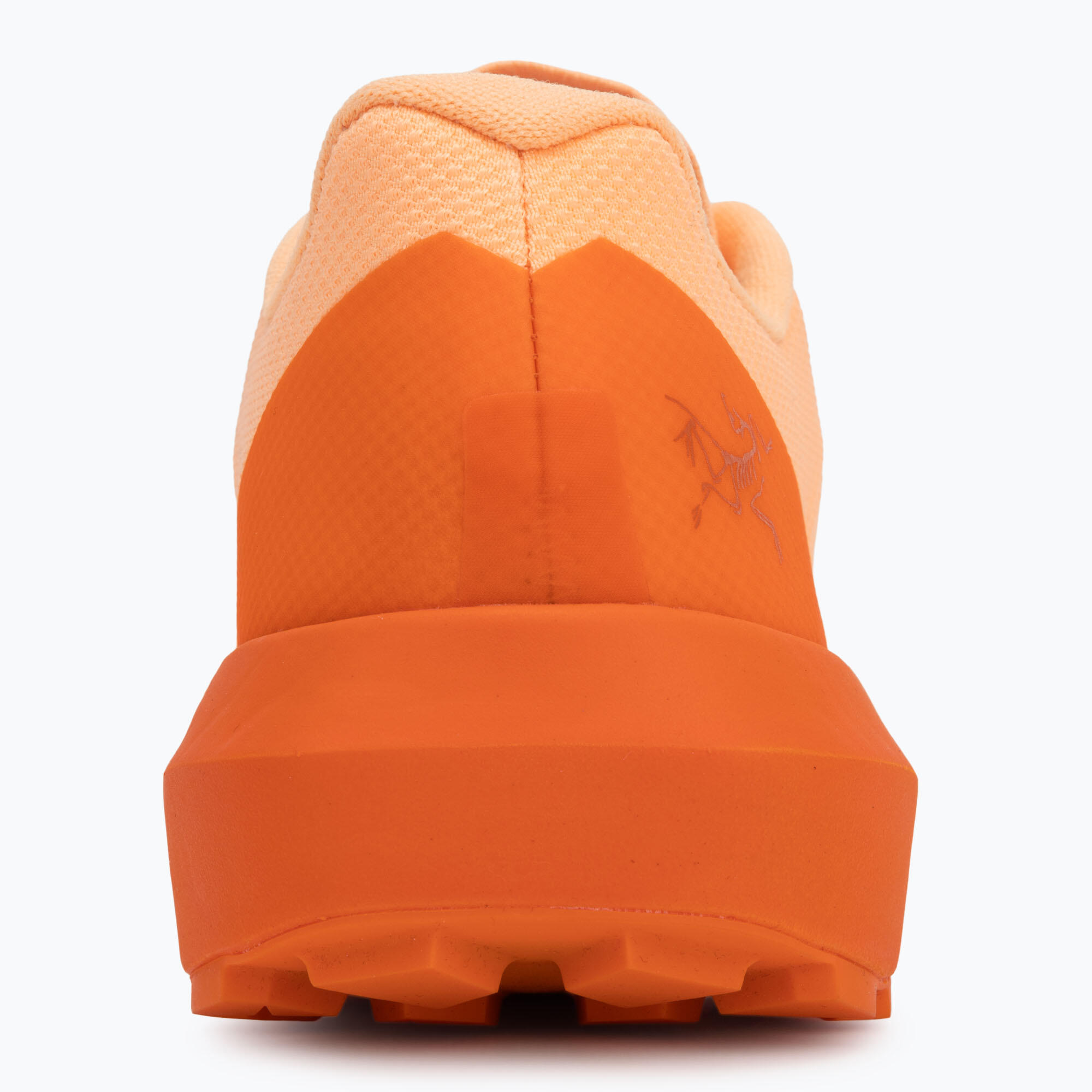 Buty do biegania damskie Arcteryx Norvan LD 4 6/7