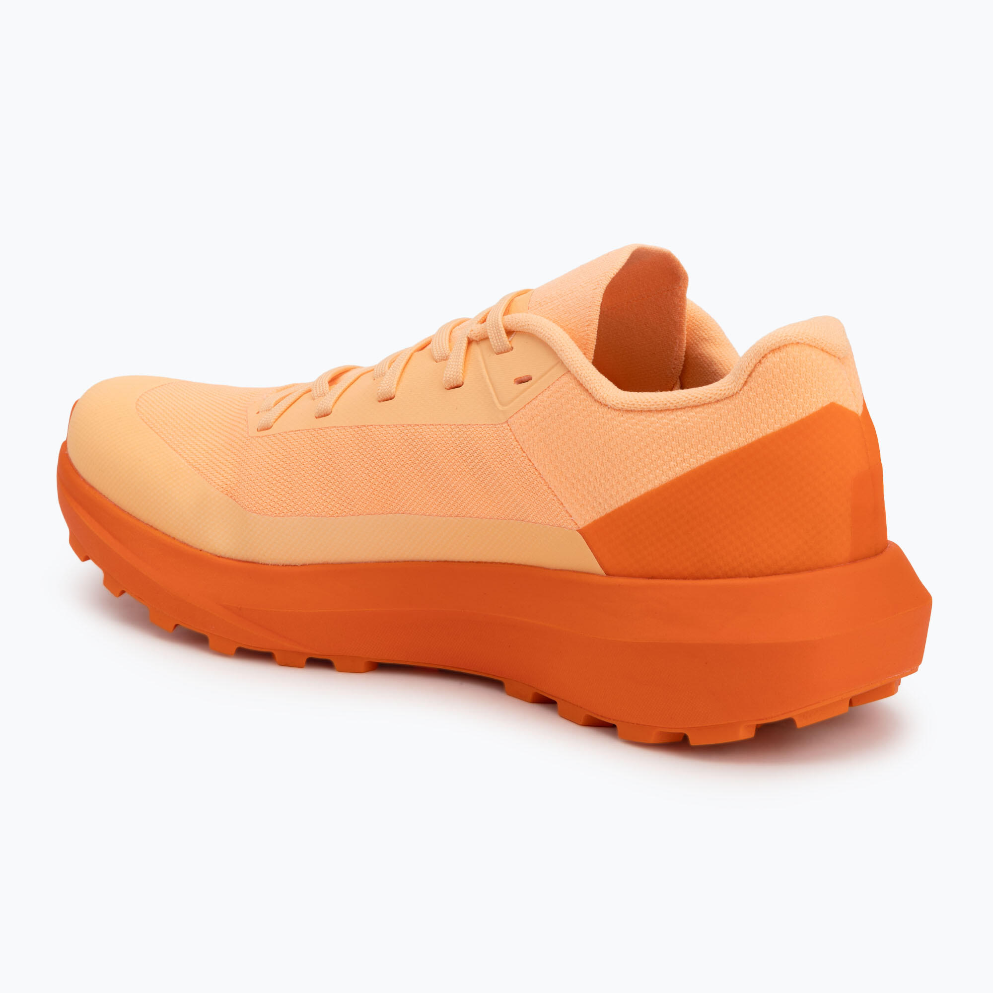 Buty do biegania damskie Arcteryx Norvan LD 4 3/7