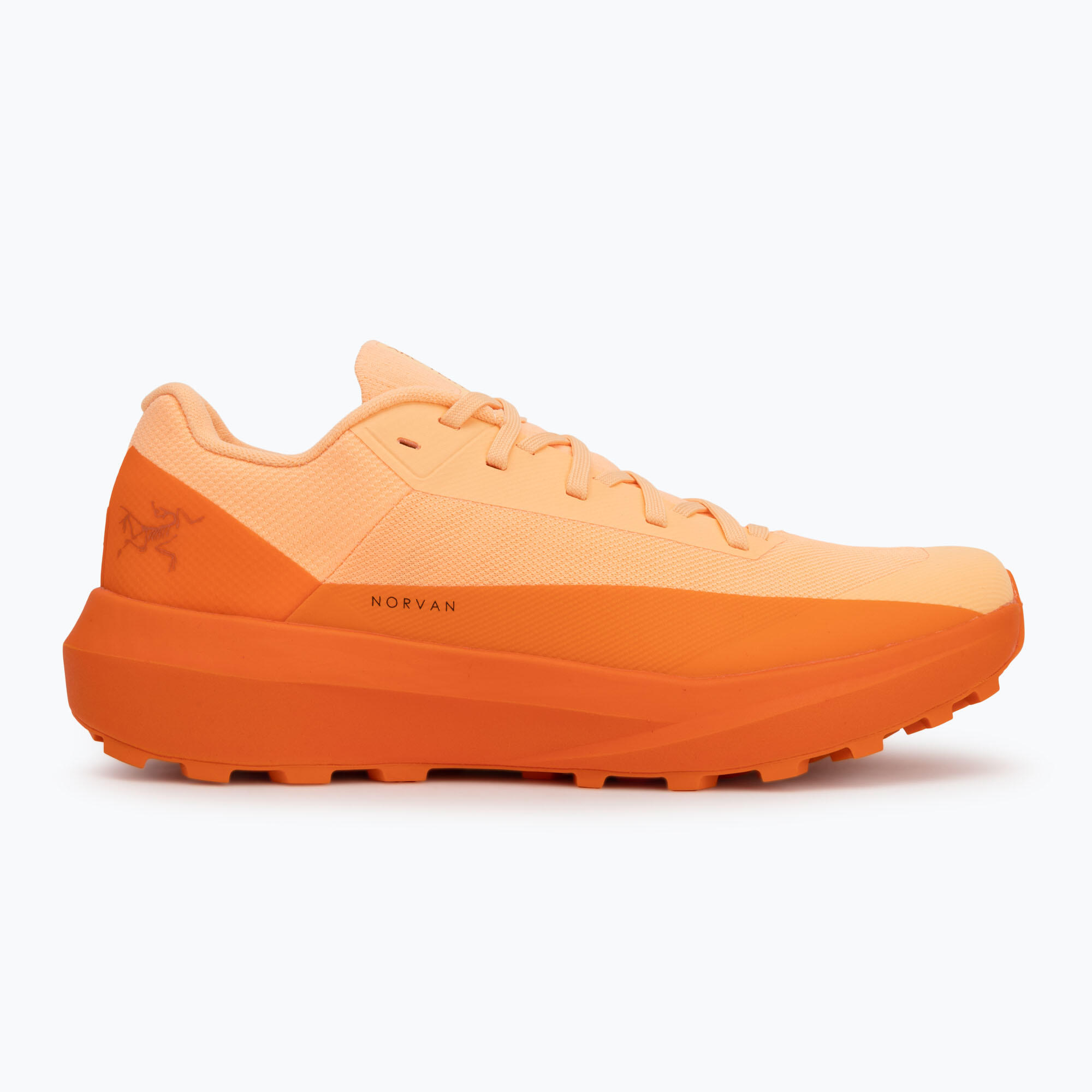Buty do biegania damskie Arcteryx Norvan LD 4 2/7