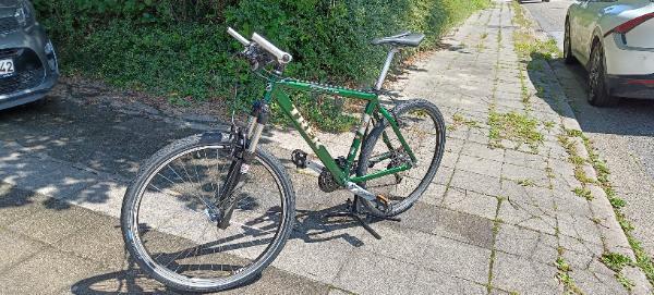 TREK picture