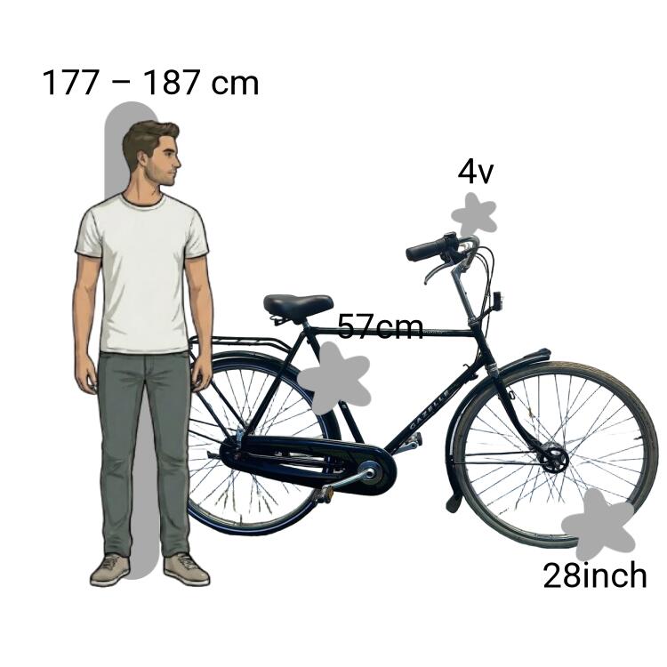 Bicicletta usata Gazelle Impala 2/4
