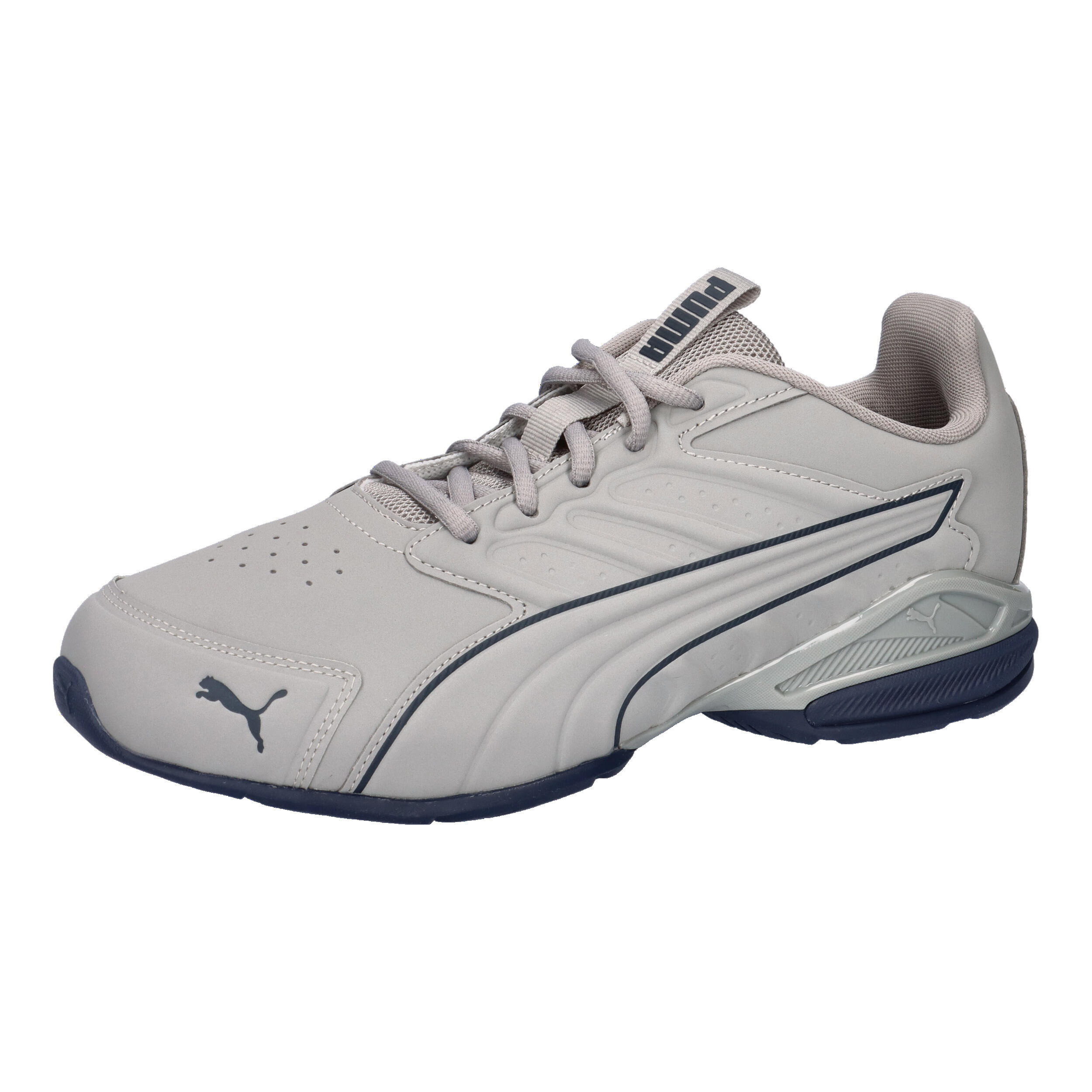 PUMA picture