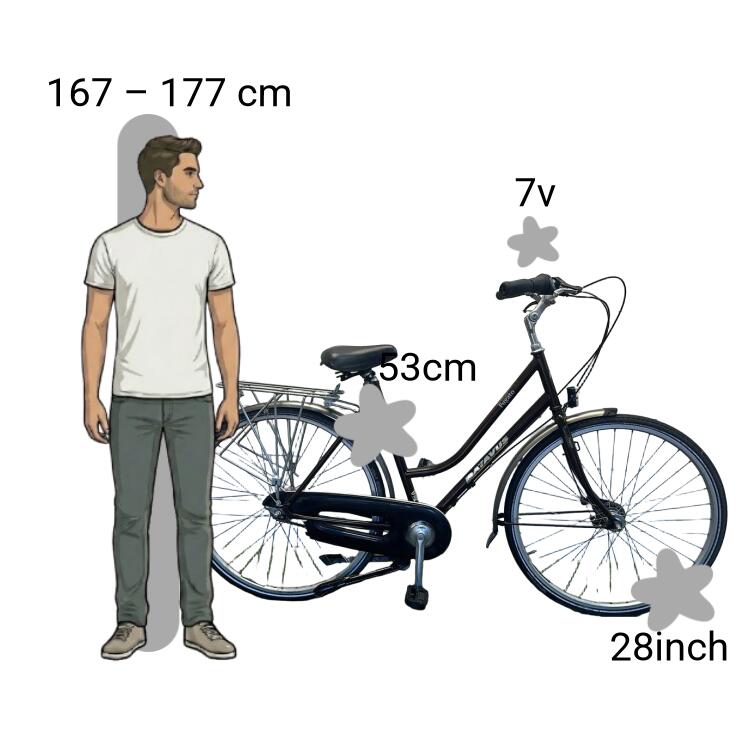 Bicicletta usata Batavus Fugato 2/4