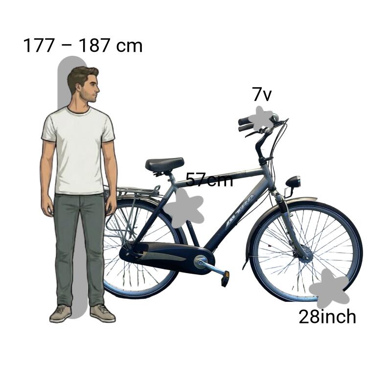 Bicicletta usata Altra Commander 2/4