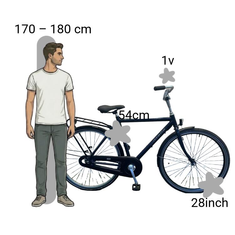 De segunda mano Gazelle Davos 2/4