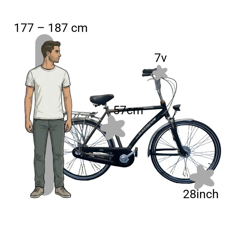Bicicleta usada Batavus Staccato 2/4