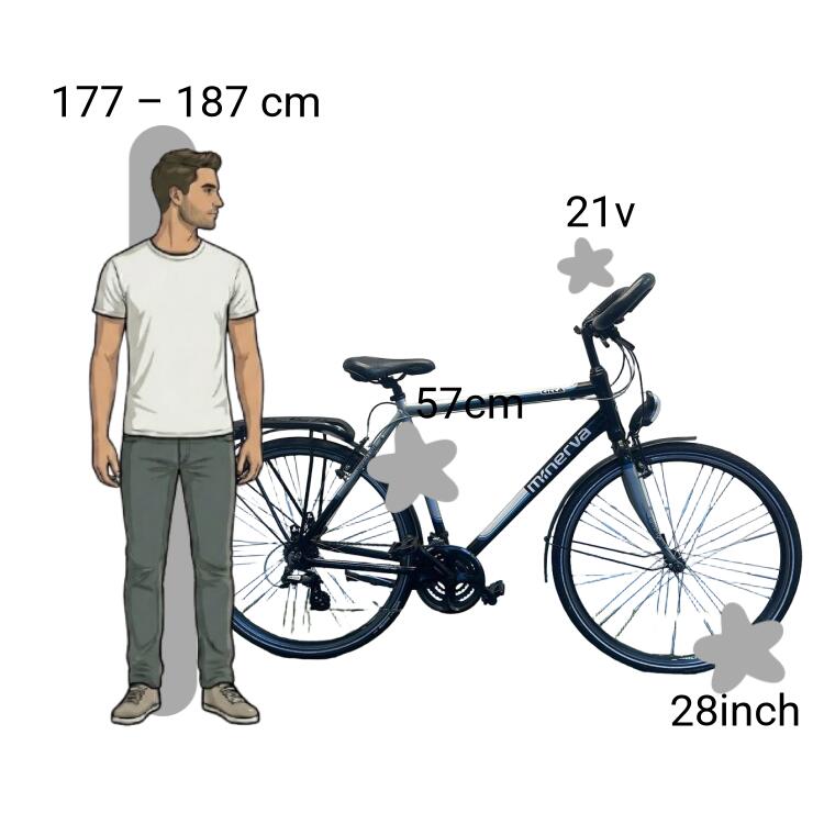 Gebraucht Minerva Citta 2/4