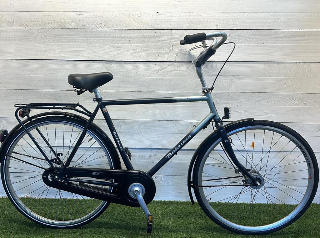 BATAVUS picture