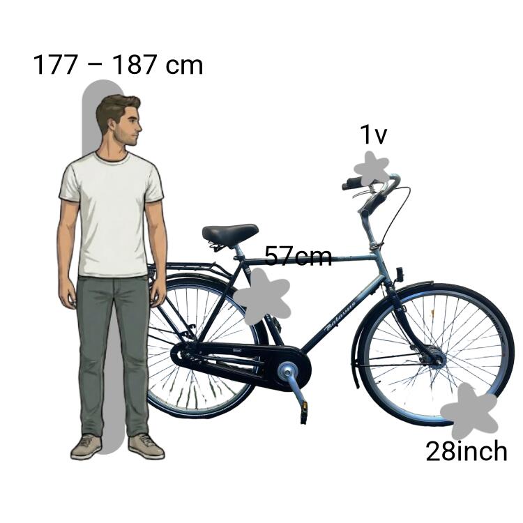 Bicicletta usata Batavus Verona 2/4