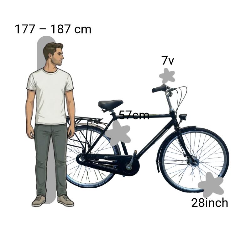 Bicicletta usata Batavus Flash 2/4