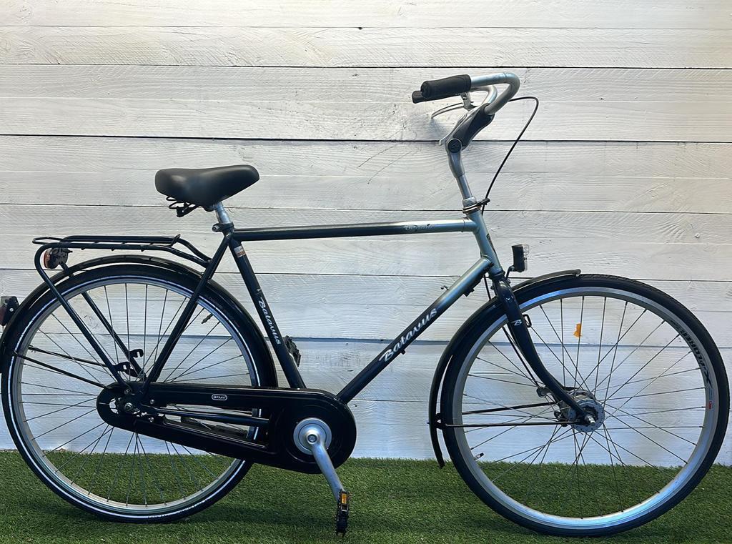 BATAVUS picture