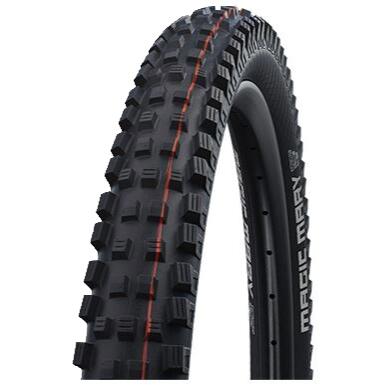 SCHWALBE picture
