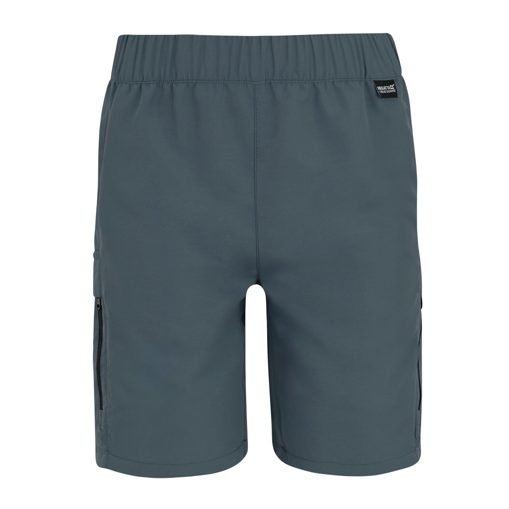 Regatta Childrens/Kids Sorcer III Shorts