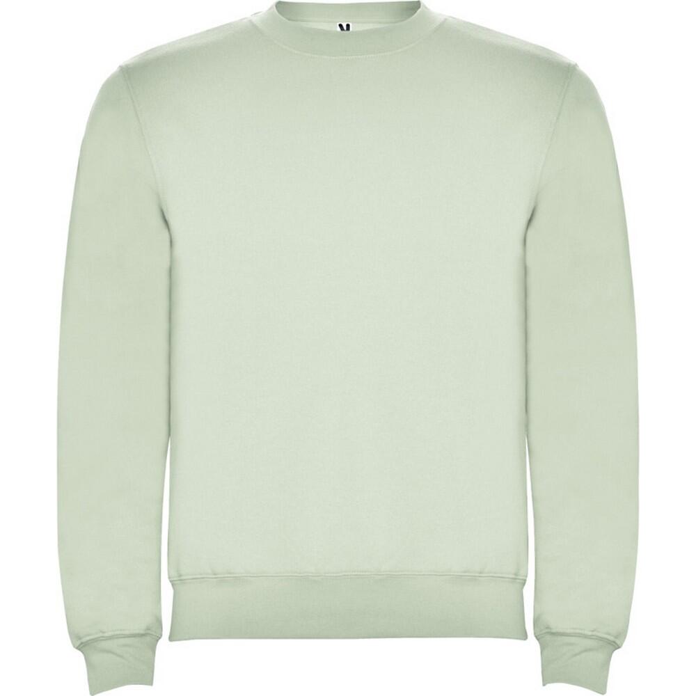 Roly Unisex Adult Clasica Crew Neck Sweatshirt