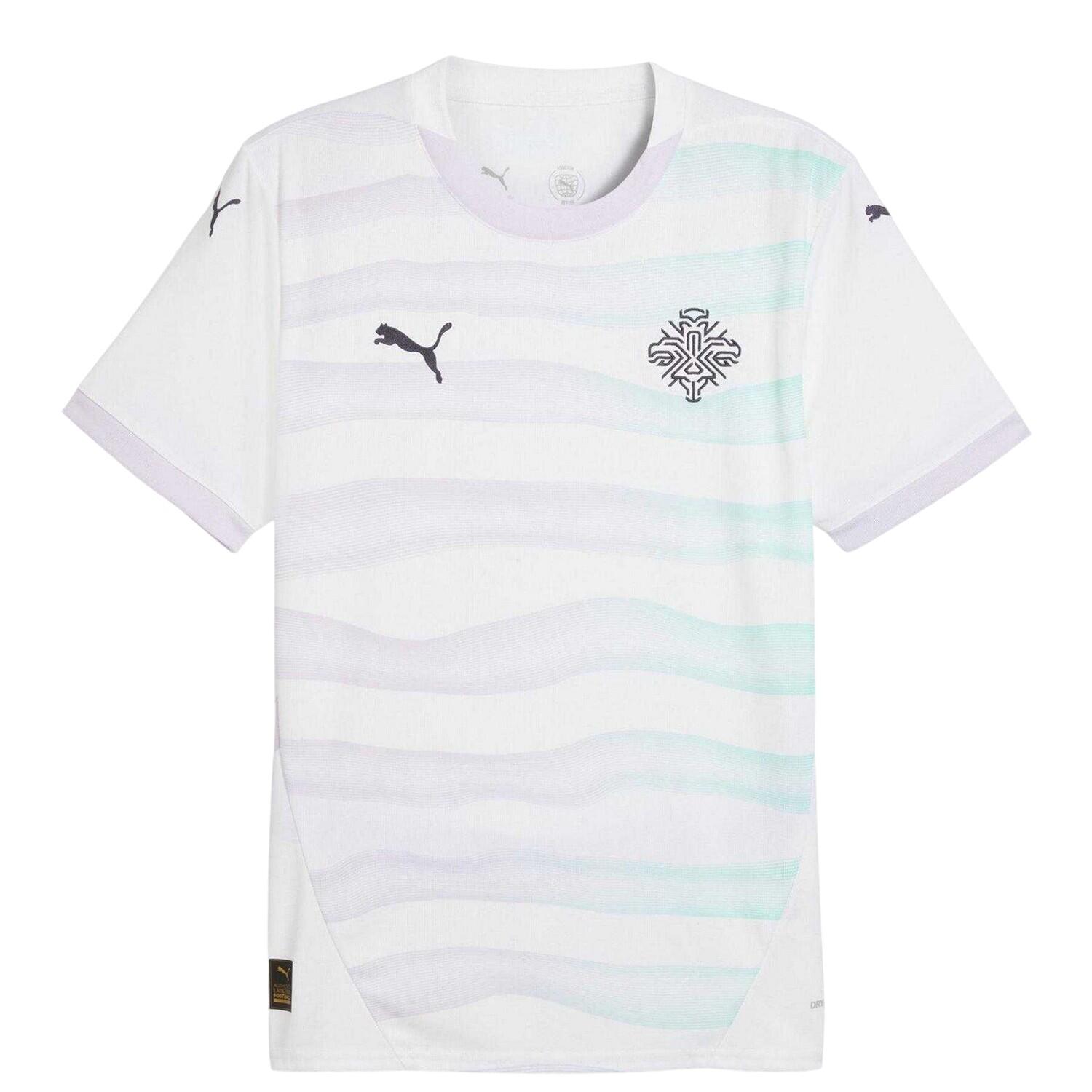 Puma Unisex Adult 2025 Iceland Away Shirt