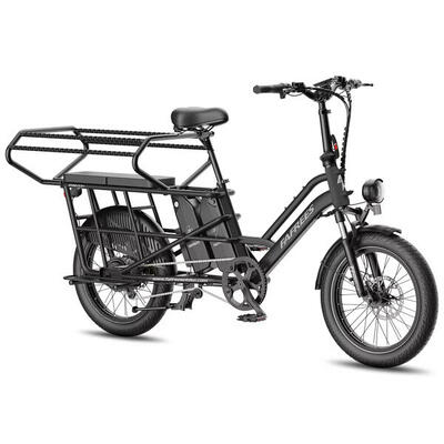 Cargo EBike FF20 CUV Batterie Doppie 12Ah 140km Fat Gomme Seggiolino 200kg