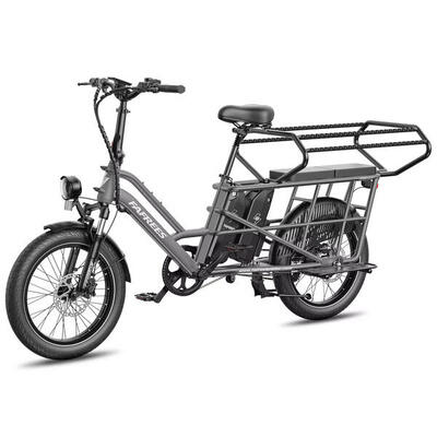 Cargo EBike FF20 CUV Batterie Doppie 12Ah 140km Fat Gomme Seggiolino 200kg