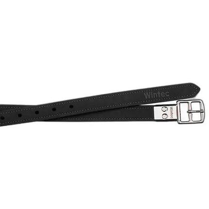 Etrivières équitation avec boucles Wintec Pro