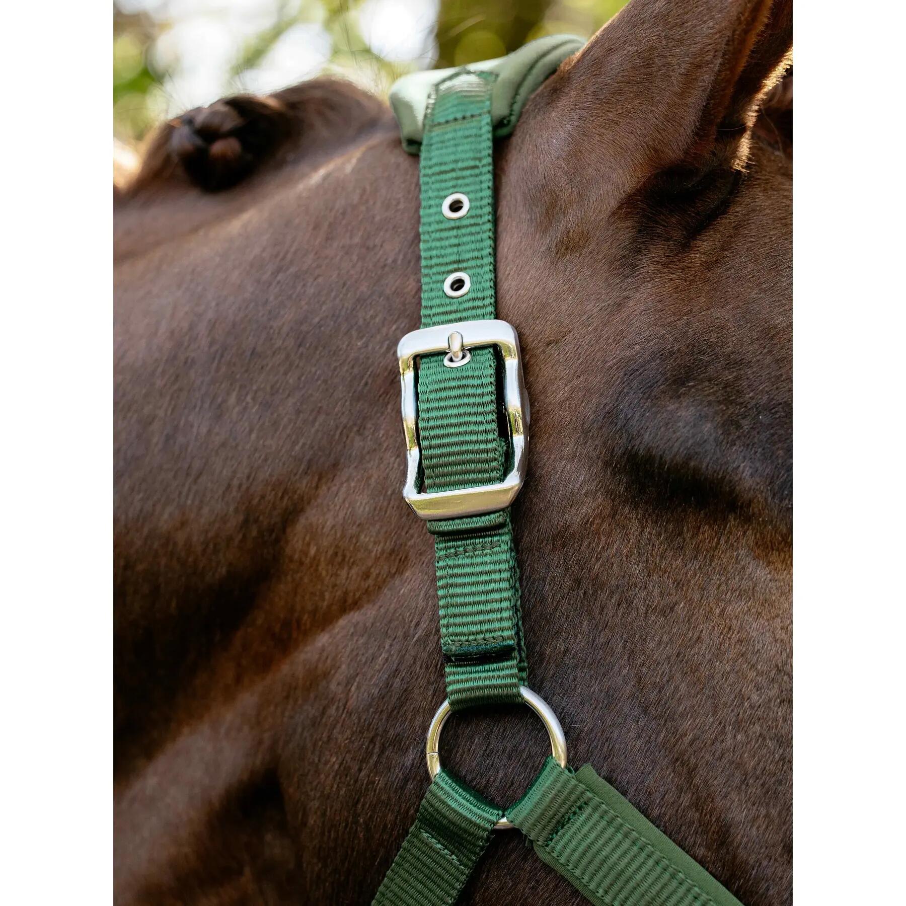 Licol pour cheval en nylon LeMieux Vogue 3/7