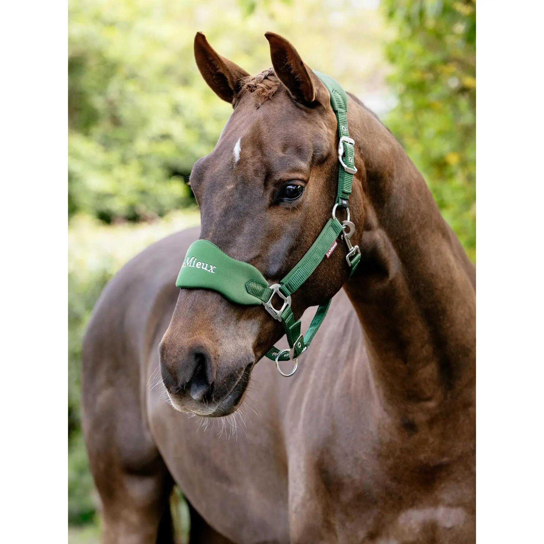 Licol pour cheval en nylon LeMieux Vogue 2/7