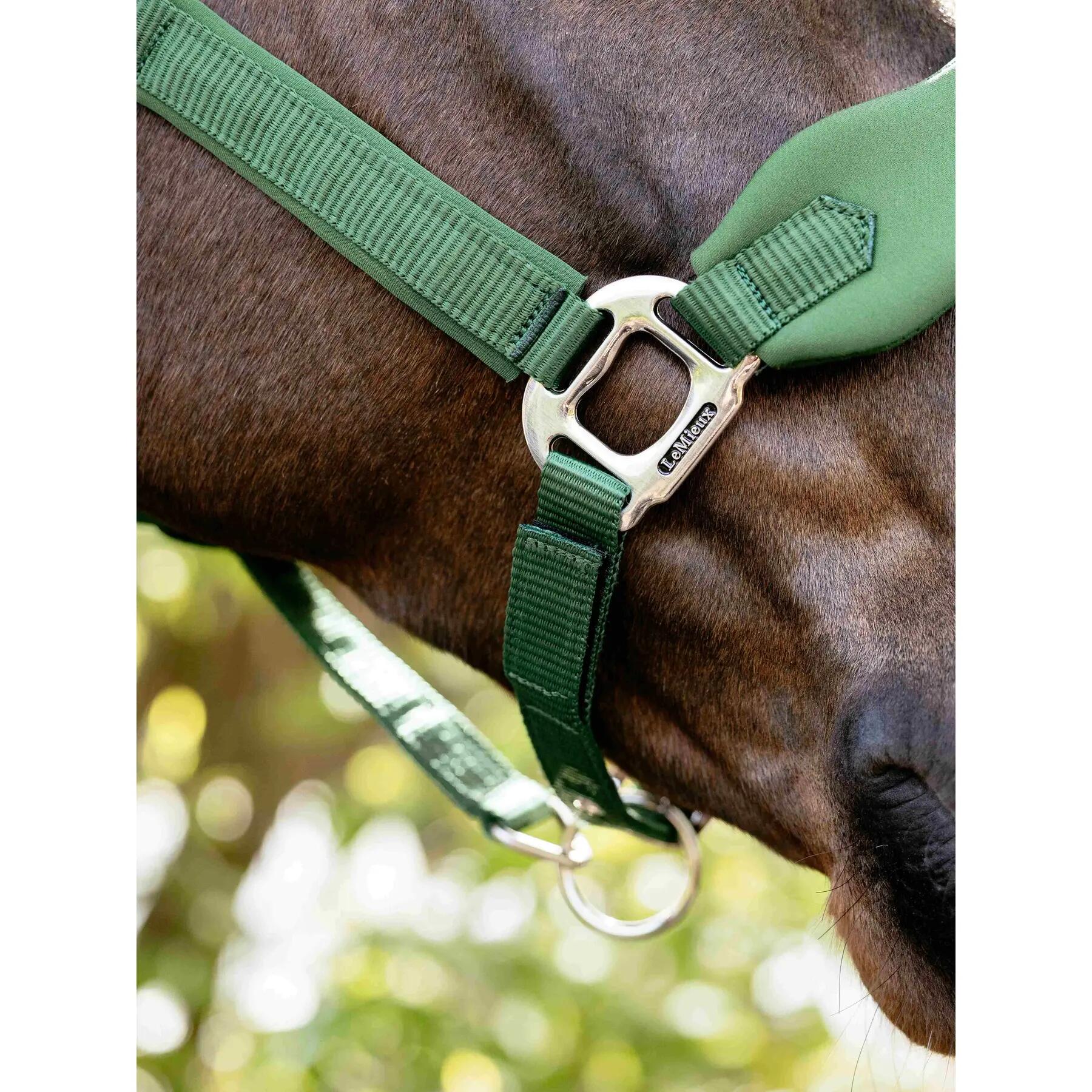 Licol pour cheval en nylon LeMieux Vogue 4/7
