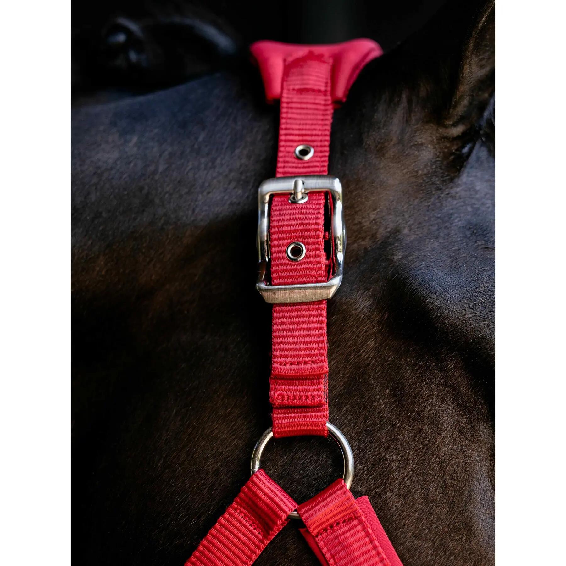 Nylon paardenhalster LeMieux Vogue 3/7