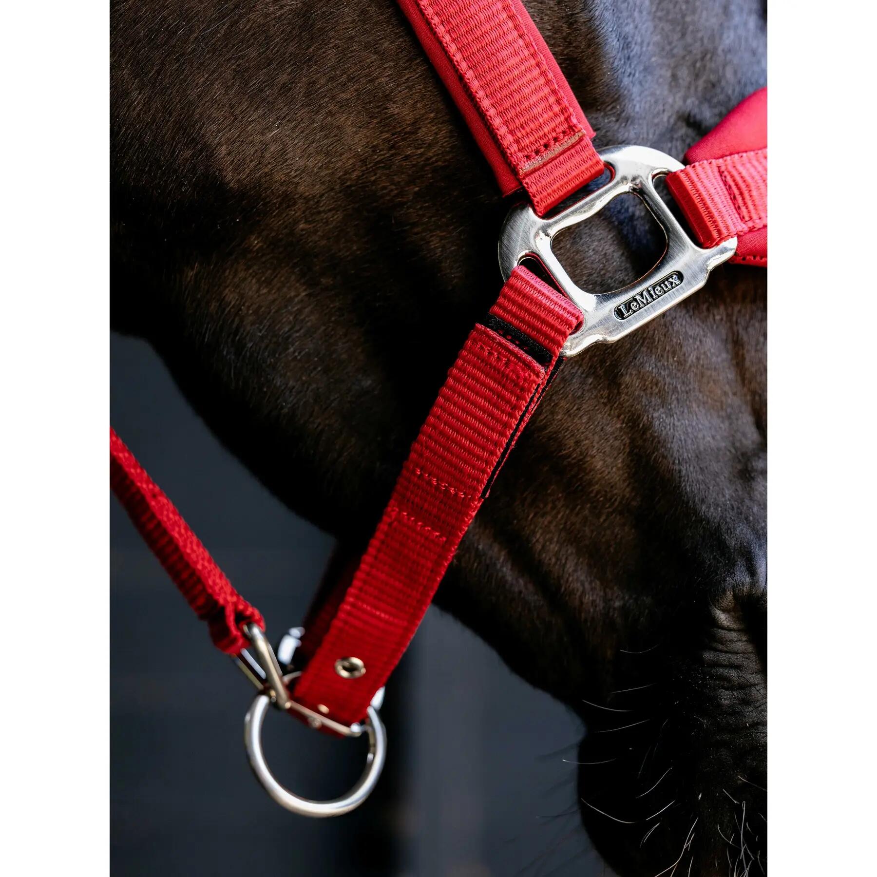 Nylon paardenhalster LeMieux Vogue 4/7
