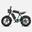 M20 este o bicicletă electrică pentru adulți，cu două baterii de 48V 26Ah，20x4.0”
