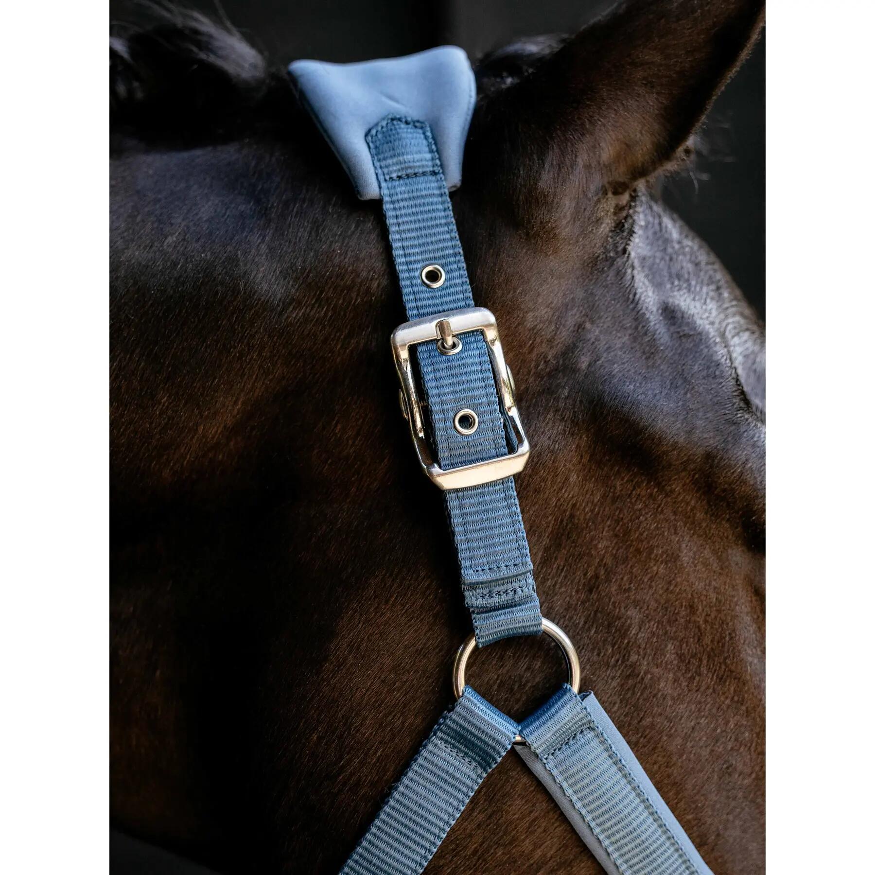 Licol pour cheval en nylon LeMieux Vogue 3/7