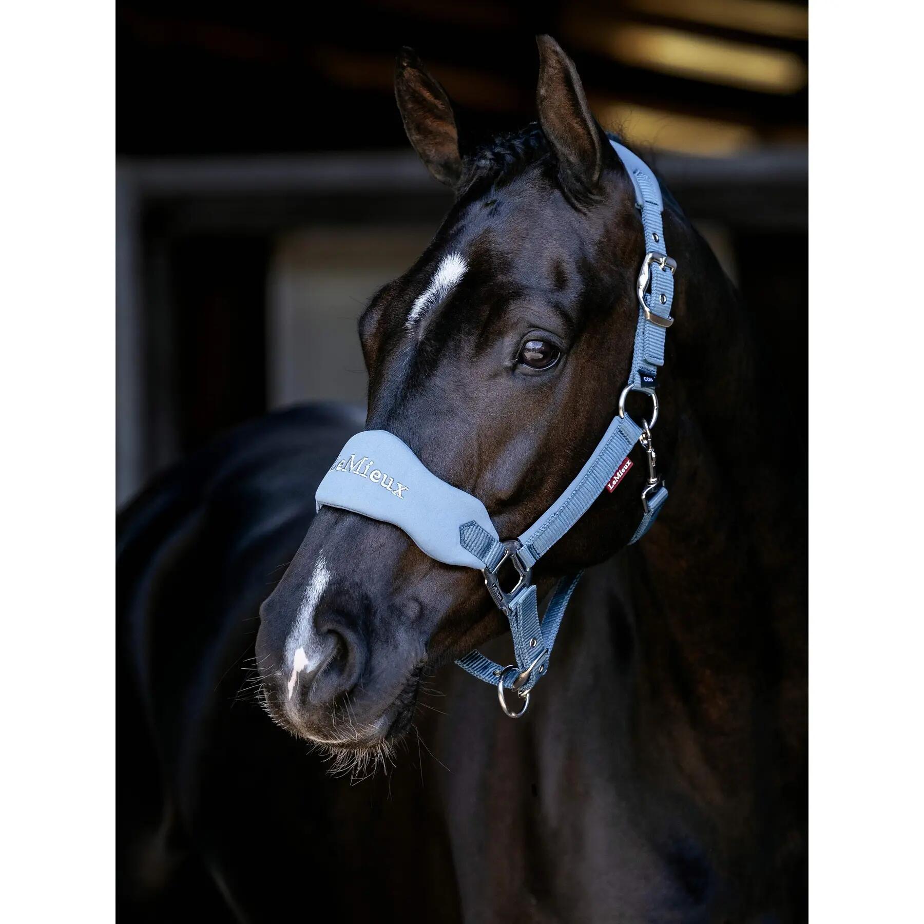 Licol pour cheval en nylon LeMieux Vogue 2/7