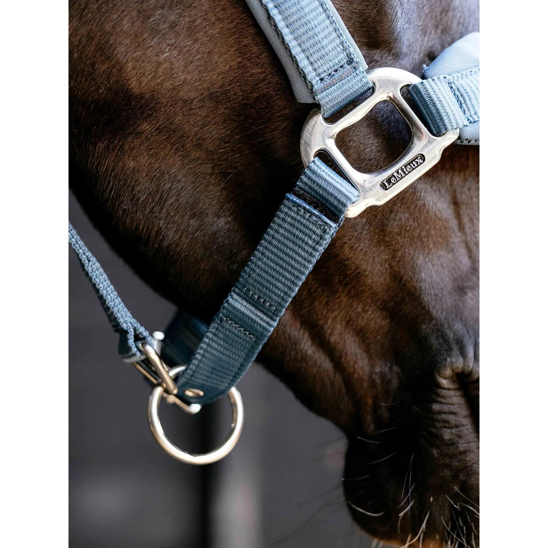 Licol pour cheval en nylon LeMieux Vogue 4/7