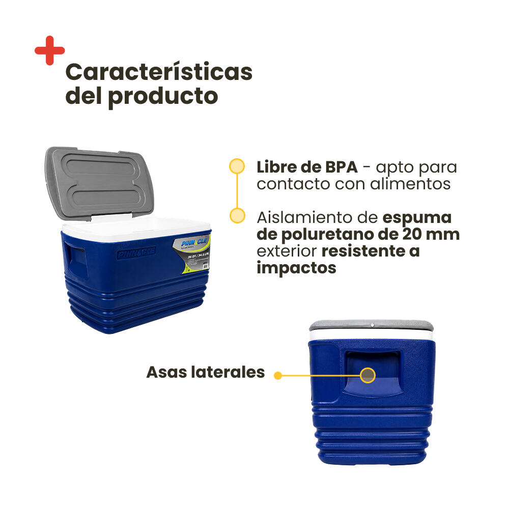 Glacière Portable PINNACLE 34,5L – Compacte et Légère 6/7