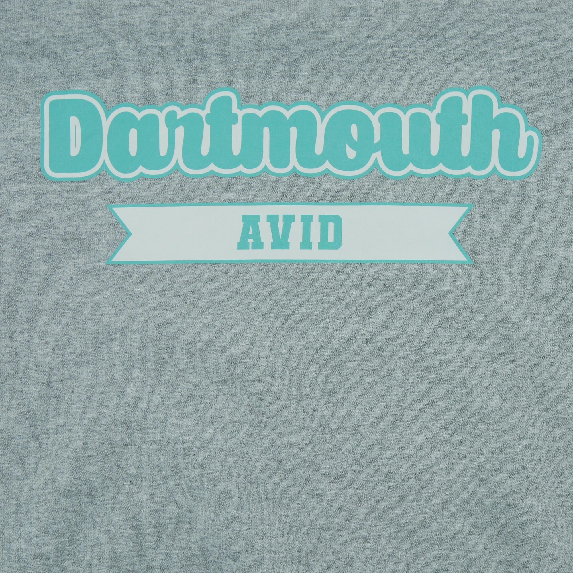 Second hand - Felpa Uomo Champion Dartmouth College Grigia - Stato eccellente 3/5