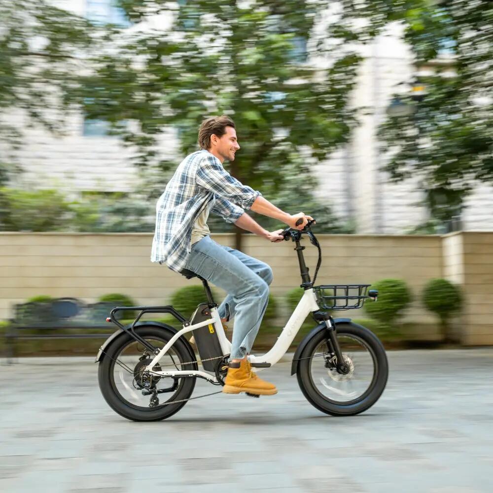 Bicicleta eléctrica plegable adulto DYU C9 250W 48V15.6AH 20" Neumáticos gruesos 7/7