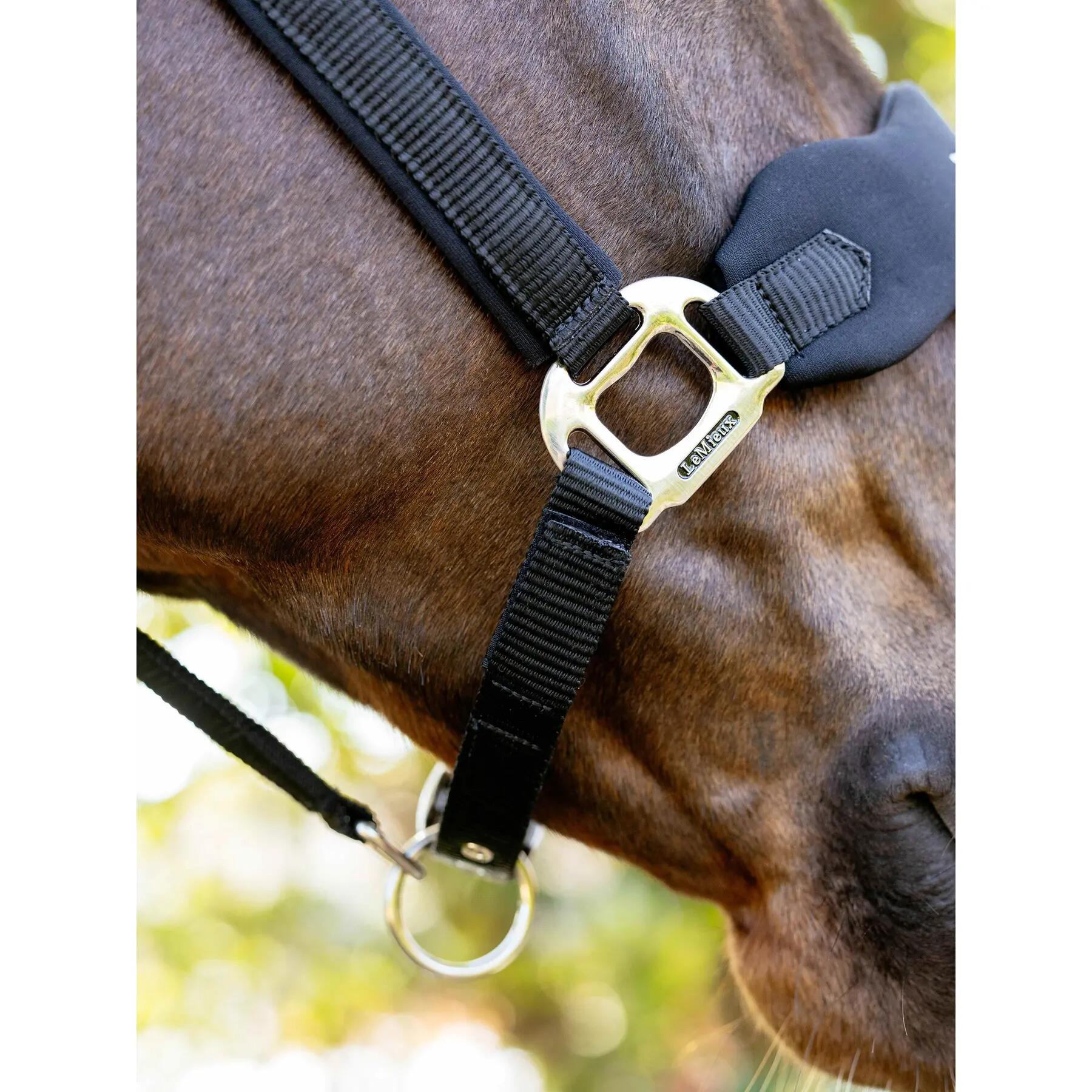Licol pour cheval en nylon LeMieux Vogue 3/7