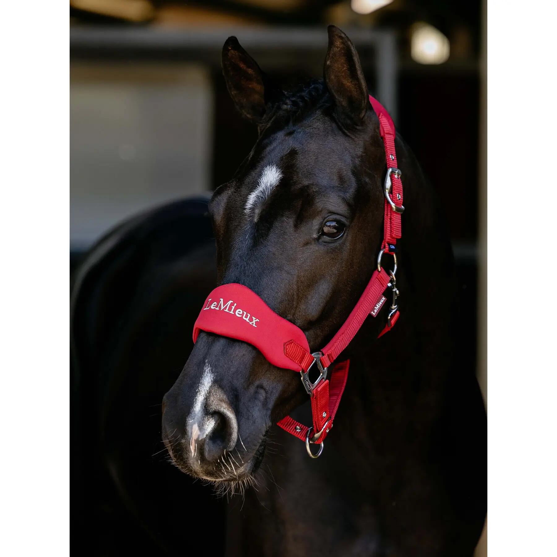Nylon paardenhalster LeMieux Vogue 2/7