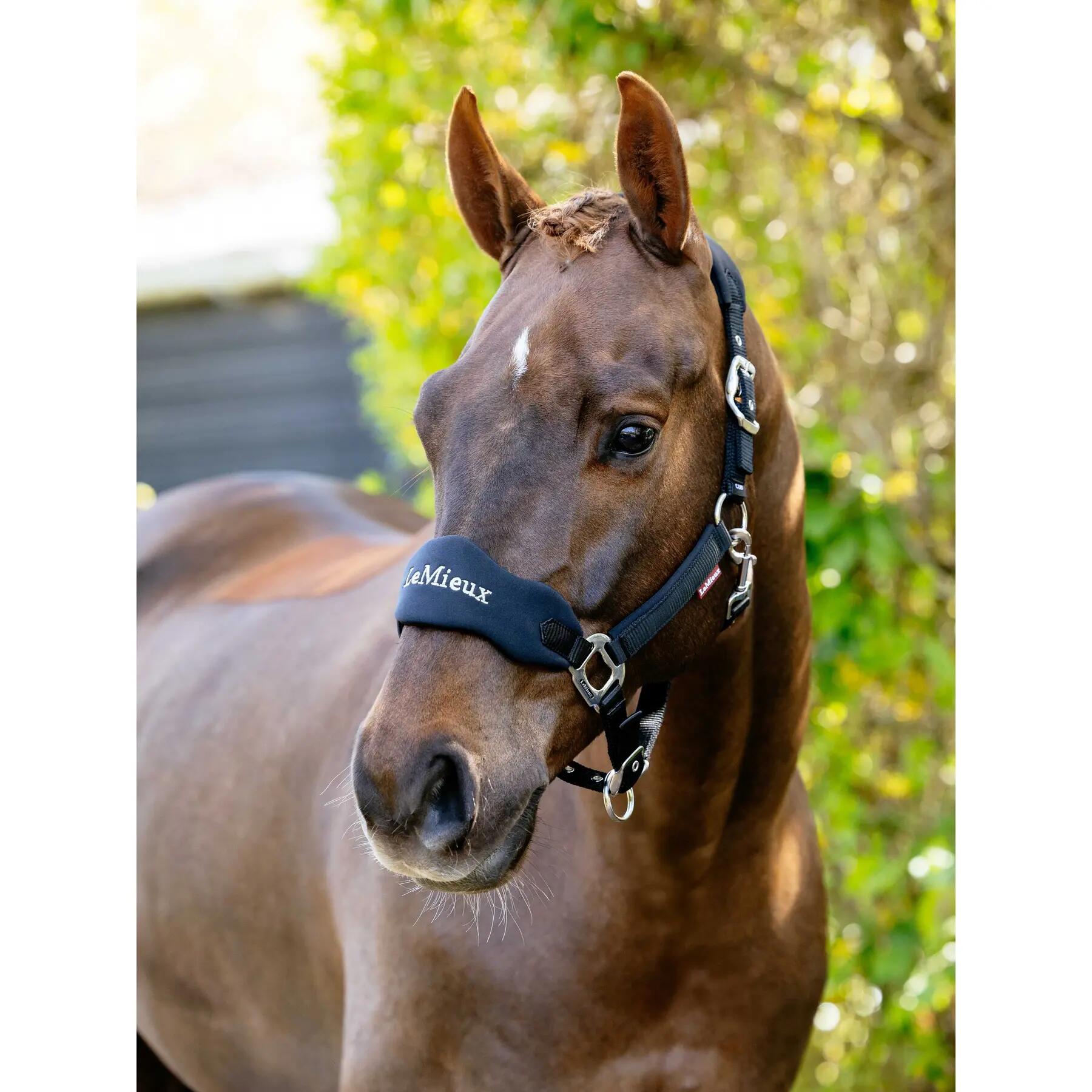 Licol pour cheval en nylon LeMieux Vogue 2/7