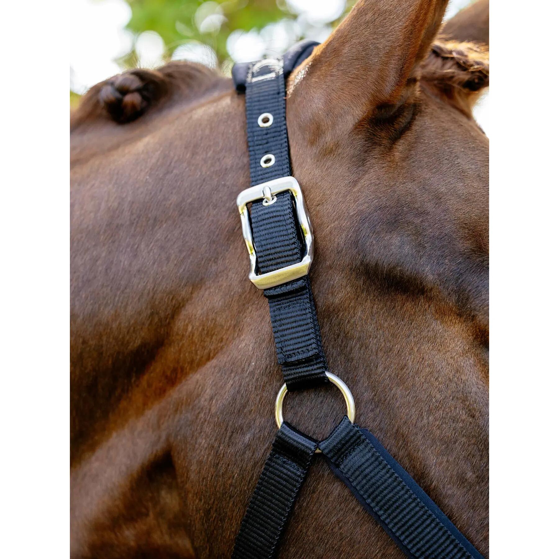 Licol pour cheval en nylon LeMieux Vogue 4/7