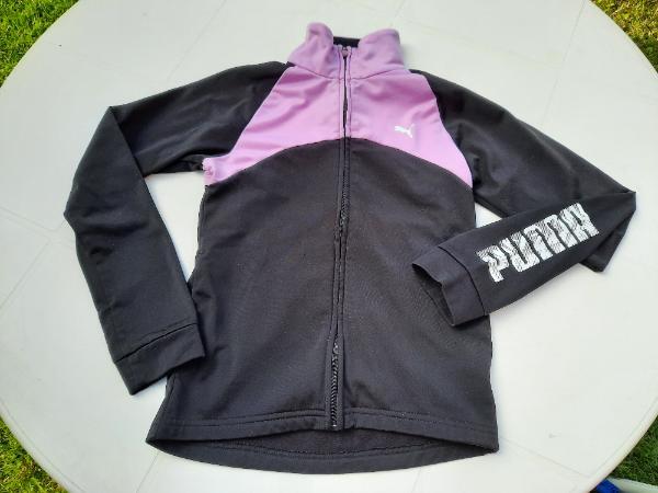PUMA picture