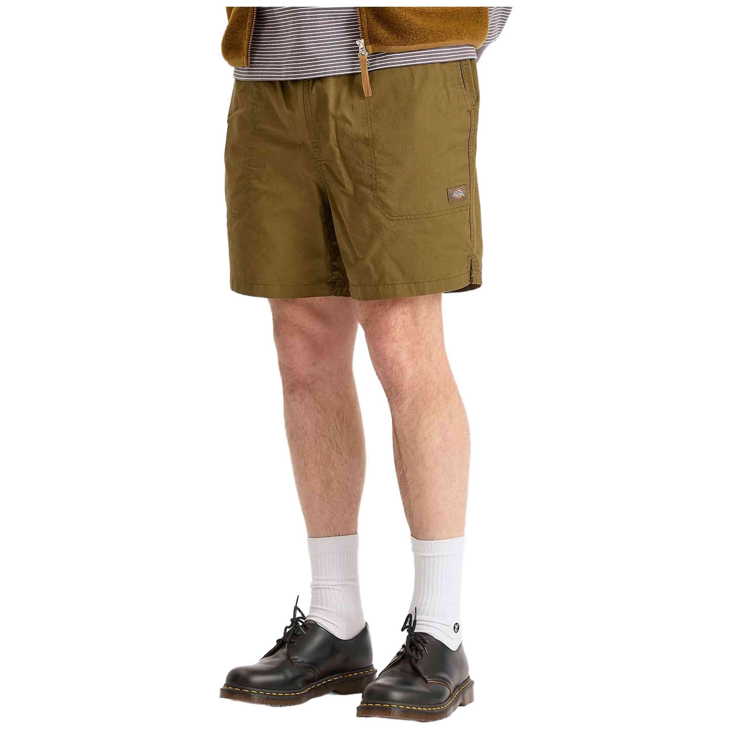 Short Dickies modèle DK0A4XB2DKO1 pour homme 2/4