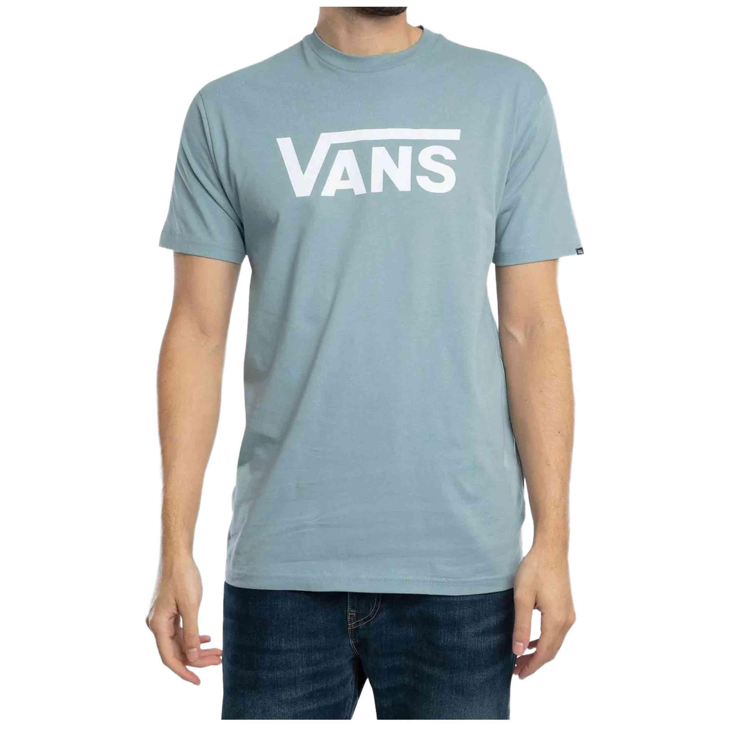 VANS picture