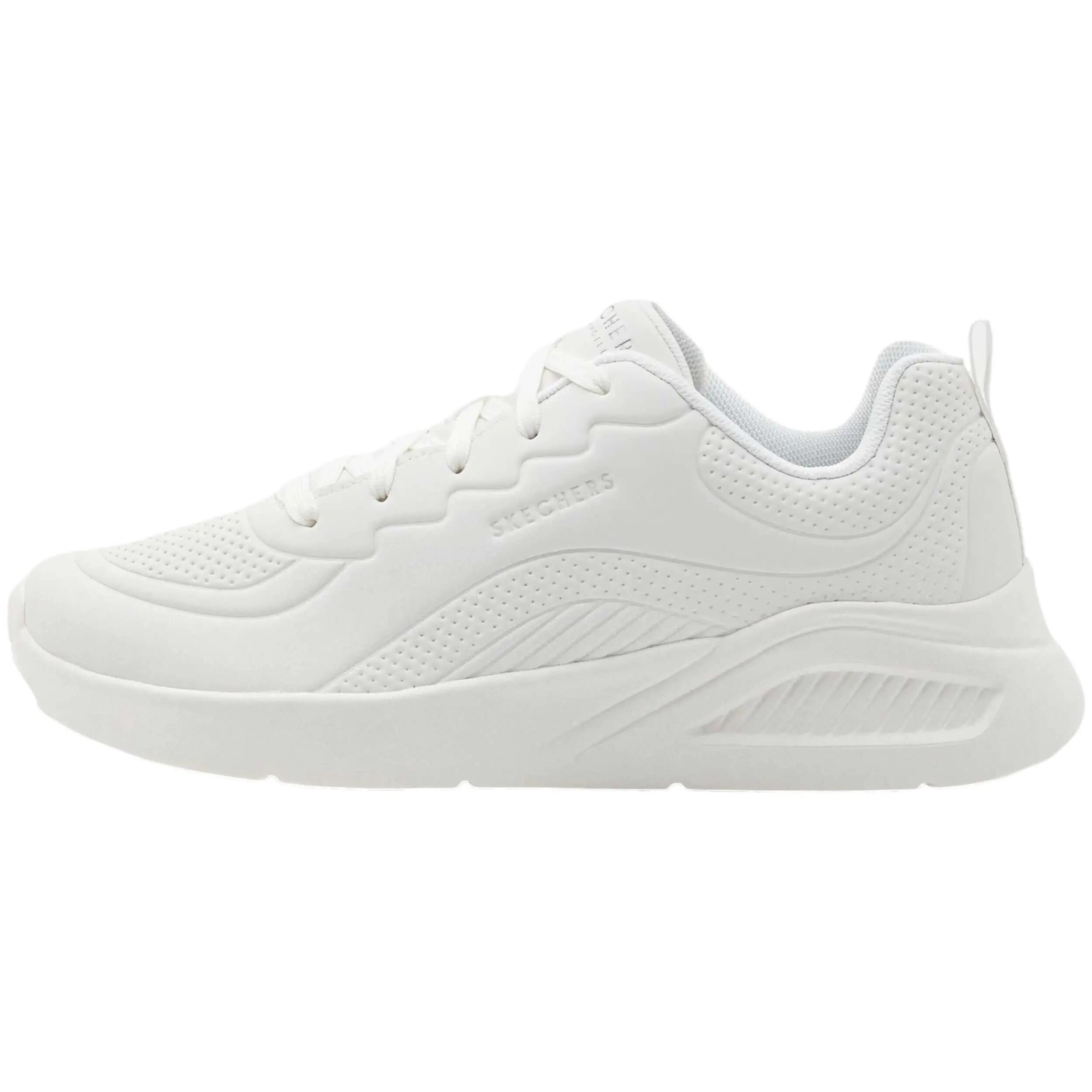 SKECHERS picture