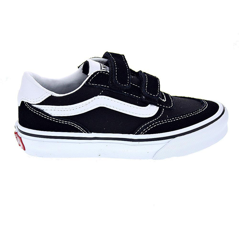 VANS picture