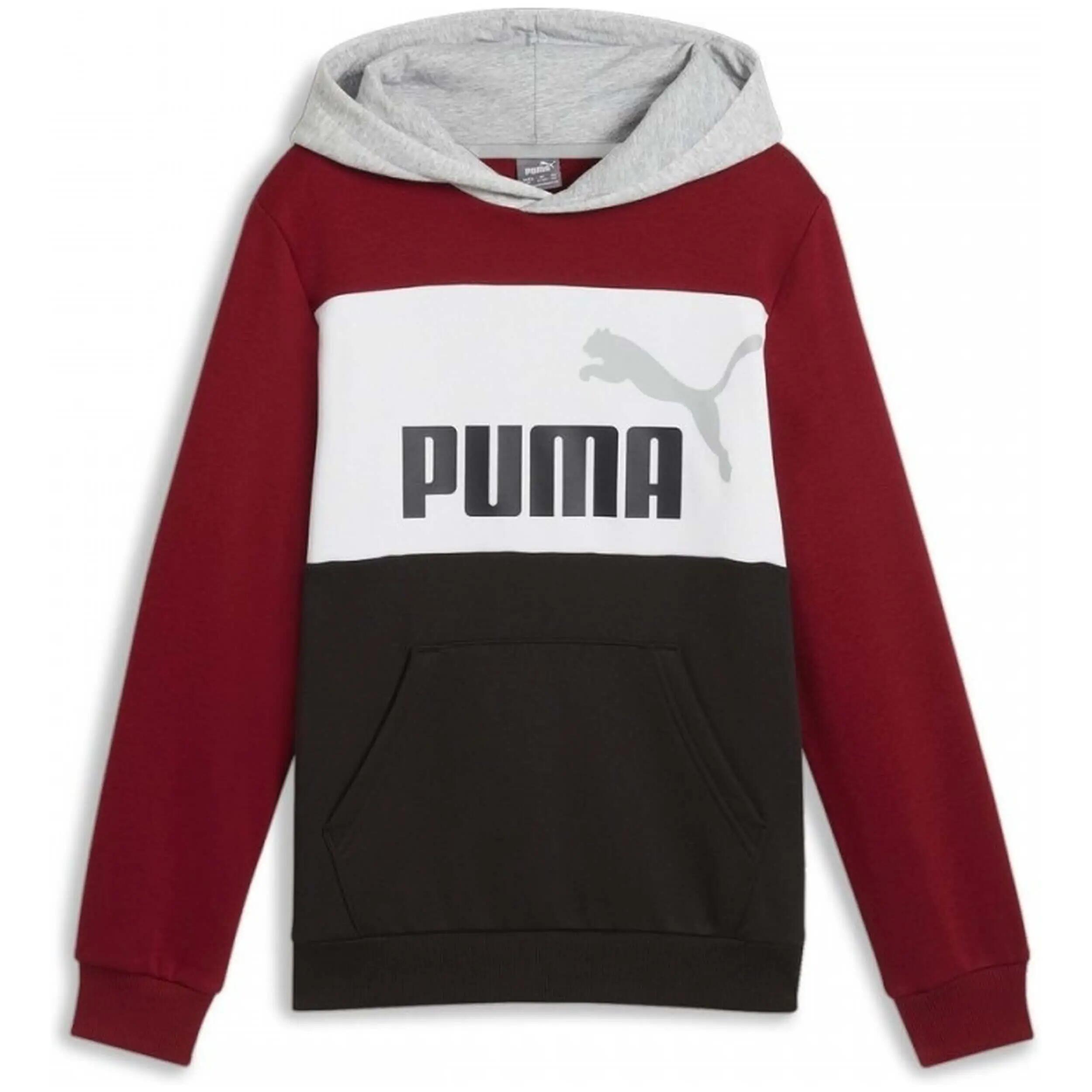 PUMA picture