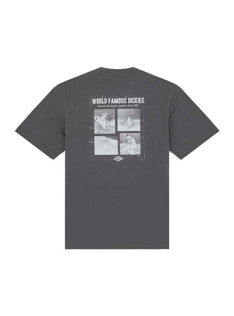 Camiseta para Homem Dickies Wolfhurst Cinza 2/4