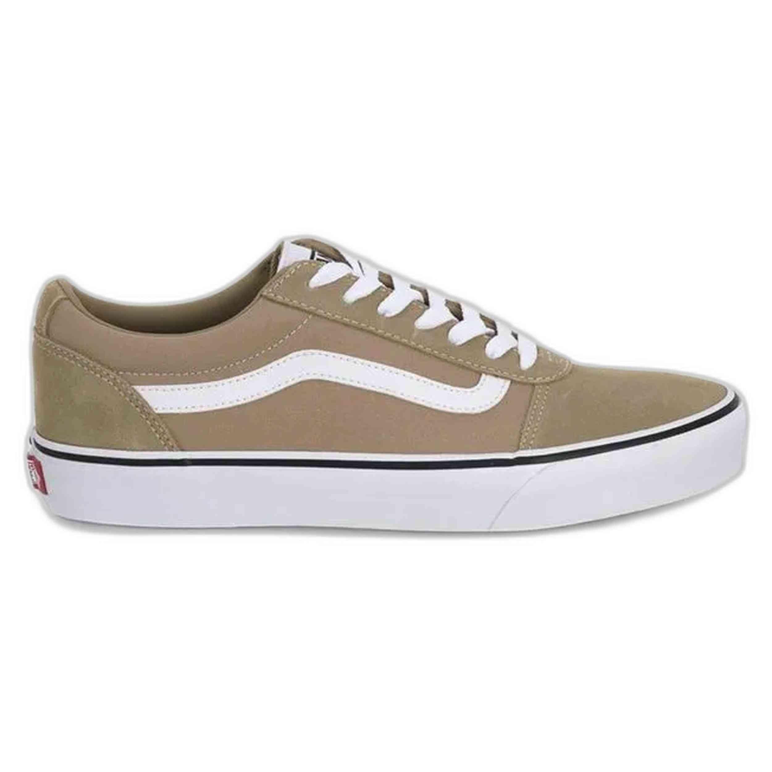 VANS picture