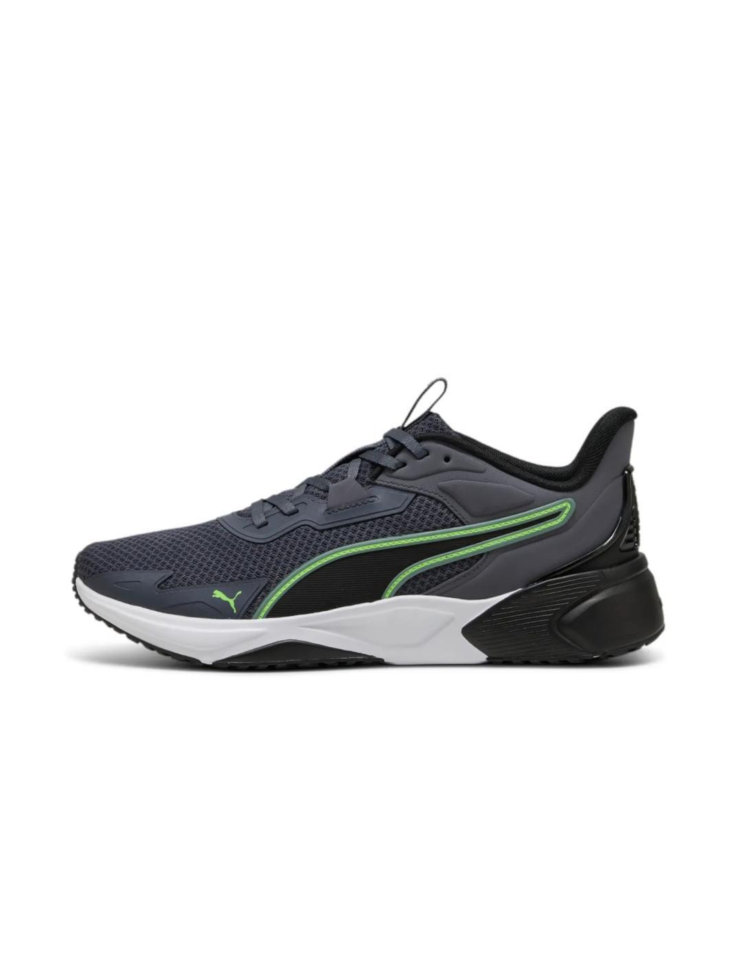 PUMA picture