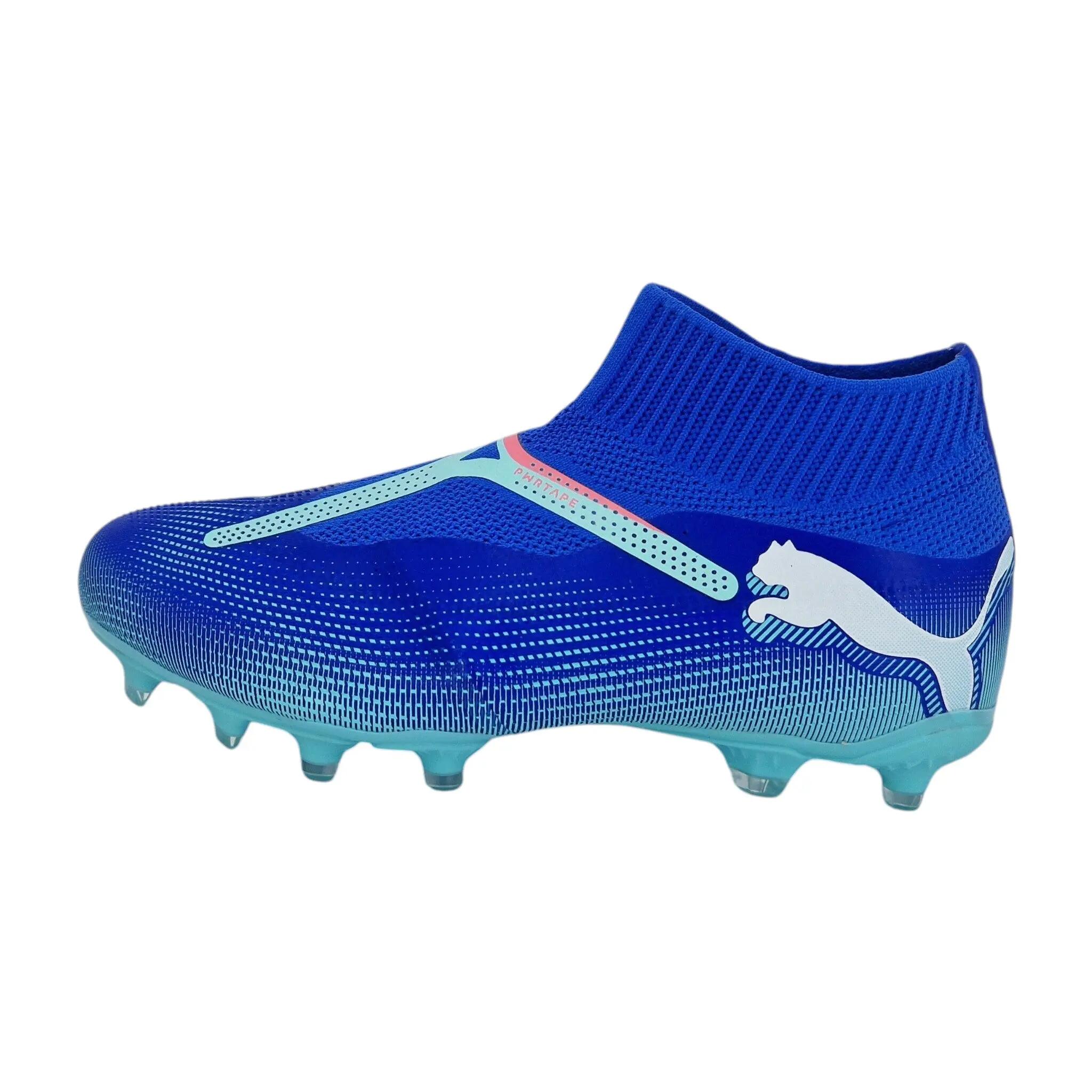 PUMA picture